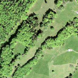 Satellite imagery of Altwisstock, CH