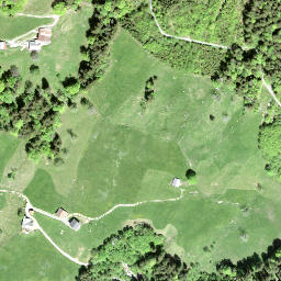 Satellite imagery of Altwisstock, CH