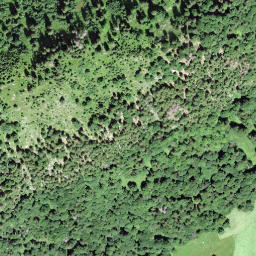 Satellite imagery of Lauiberg, CH