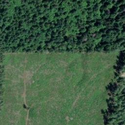 Satellite imagery of Wilson Point, US