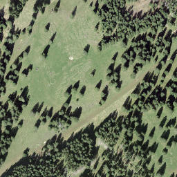 Satellite imagery of Petit Crêt, CH