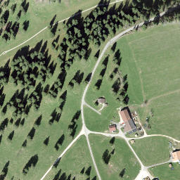 Satellite imagery of Petit Crêt, CH