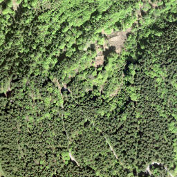 Satellite imagery of Oberhaghöchi, CH