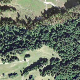 Satellite imagery of Bremacher Höchi, CH