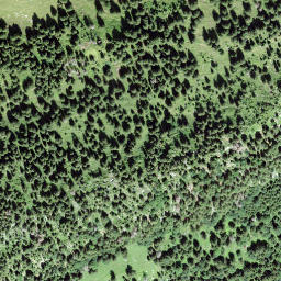 Satellite imagery of Schwendigrot, CH