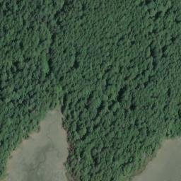 Satellite imagery of Potlatch Point, US