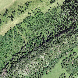 Satellite imagery of Schwendigrot, CH