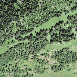 Satellite imagery of Schwendigrot, CH