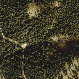 Satellite imagery of Salfains, AT