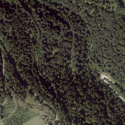 Satellite imagery of Walzkogel, AT