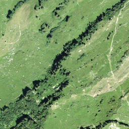Satellite imagery of I de Schwarze Chöpf, CH