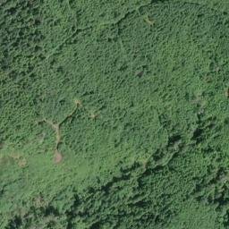 Satellite imagery of Yellow Bluff, US