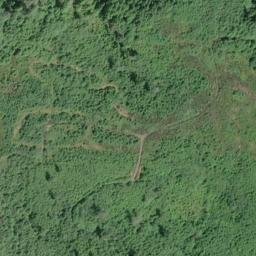 Satellite imagery of Yellow Bluff, US