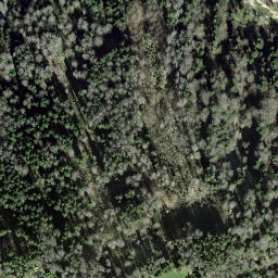 Satellite imagery of Scheerenspitz, CH