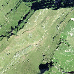 Satellite imagery of Chämi, CH
