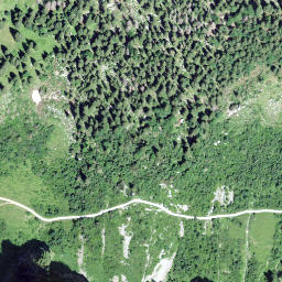 Satellite imagery of Wannen, CH