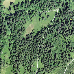 Satellite imagery of Hinter Höhi, CH