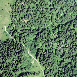 Satellite imagery of Farenstöckli, CH