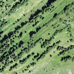 Satellite imagery of Heidenbüel, CH