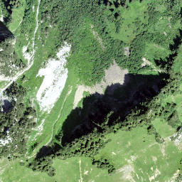 Satellite imagery of Wannen, CH