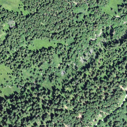Satellite imagery of Langenegg, CH