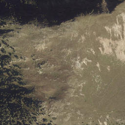 Satellite imagery of Hohe Warte, AT