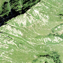 Satellite imagery of Chämi, CH