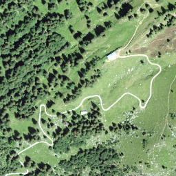 Satellite imagery of Walenstein, CH