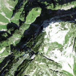 Satellite imagery of Walenstein, CH