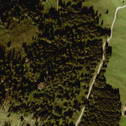 Satellite imagery of Walcher Hörndlkopf, AT