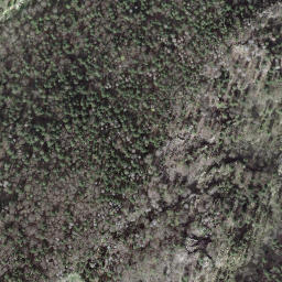 Satellite imagery of borNE-BE.95, CH