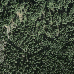 Satellite imagery of Tomislochhöchi, CH