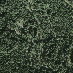 Satellite imagery of Tomislochhöchi, CH