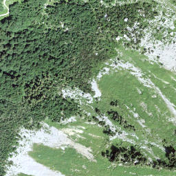 Satellite imagery of Walenstein, CH