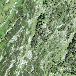 Satellite imagery of Galferbühel, CH
