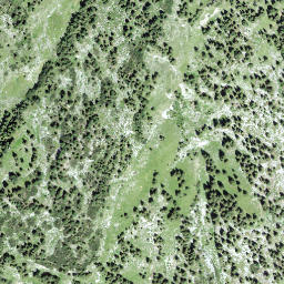 Satellite imagery of Galferbühel, CH