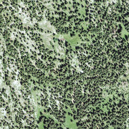 Satellite imagery of Galferbühel, CH