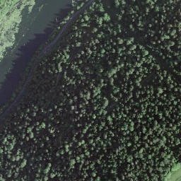 Satellite imagery of BFN001 BE097 BFJU606 Borne des trois évêques (Lausanne, Bâle et Besançon), CH
