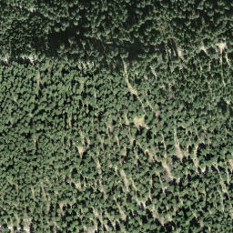 Satellite imagery of Hohe Rone, CH