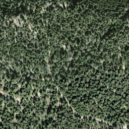 Satellite imagery of Wildspitz, CH