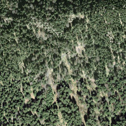 Satellite imagery of Tomislochhöchi, CH