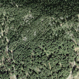 Satellite imagery of Tomislochhöchi, CH