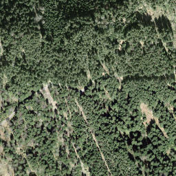 Satellite imagery of Tomislochhöchi, CH
