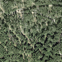 Satellite imagery of Farengütsch, CH
