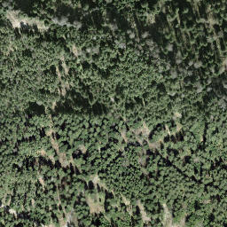 Satellite imagery of Farengütsch, CH