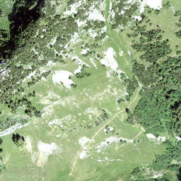 Satellite imagery of Walenstein, CH