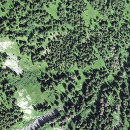 Satellite imagery of Saum, CH