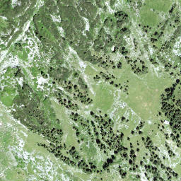 Satellite imagery of Galferbühel, CH