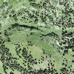 Satellite imagery of Galferbühel, CH