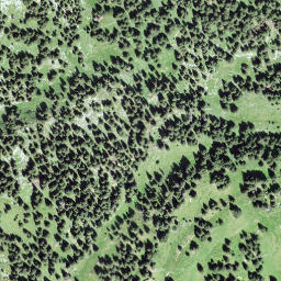 Satellite imagery of Galferbühel, CH